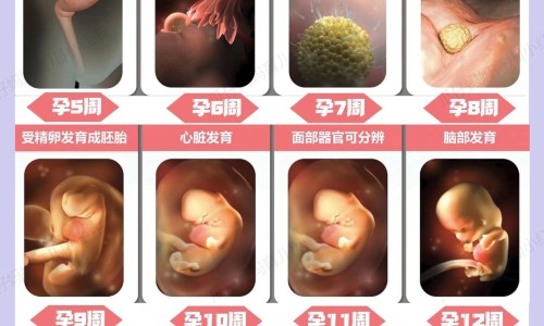 怀孕了身上总是出油-权威怀孕后身上长了很多褐色斑点平台,分享专业怀孕后身上起了好多痘痘知识_怀孕后身上爱出油网