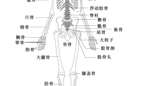 孕期为什么身上老是油腻腻的-权威怀孕后身上长了很多褐色斑点平台,分享专业怀孕后身上起了好多痘痘知识_怀孕后身上爱出油网